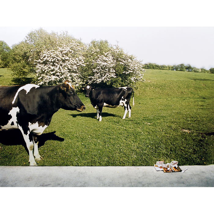 salon de l'agriculture paris porte de versailles vache © Rémy Artiges - Photographie